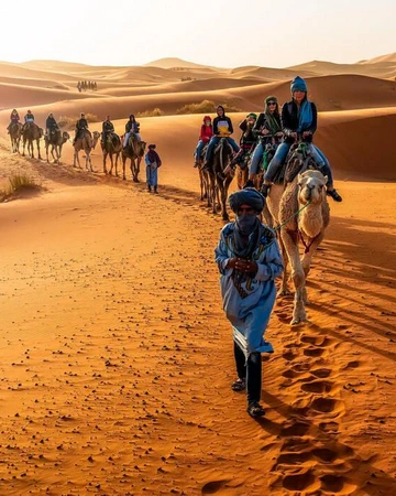 Desert Tours