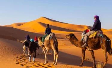 desert carmel rider