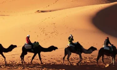 desert carmel