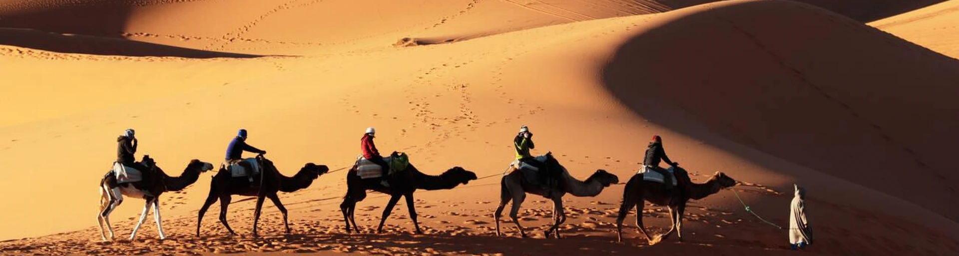 desert carmel